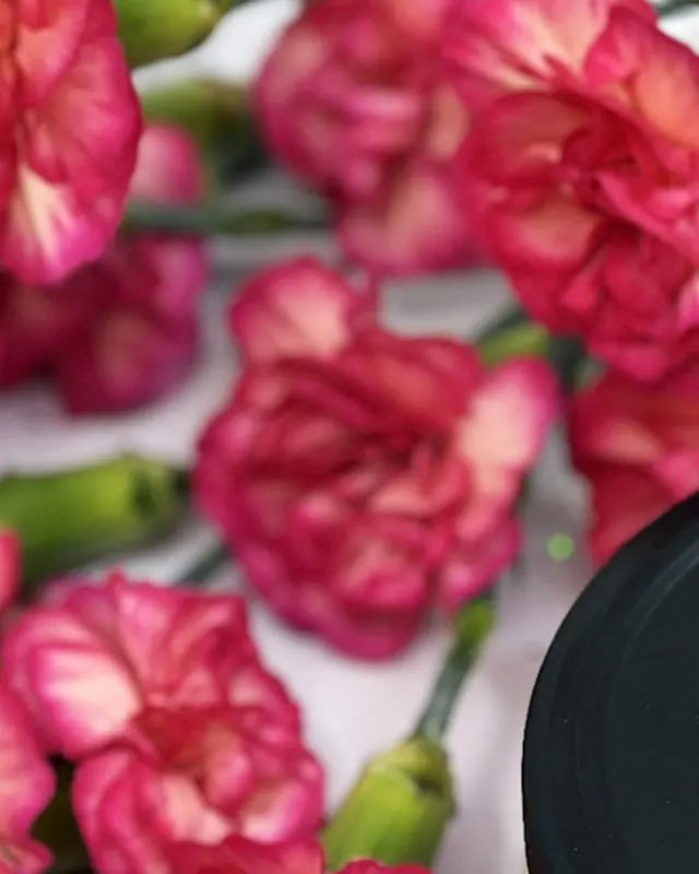 Mascarilla de arcilla rosa: detalle 2